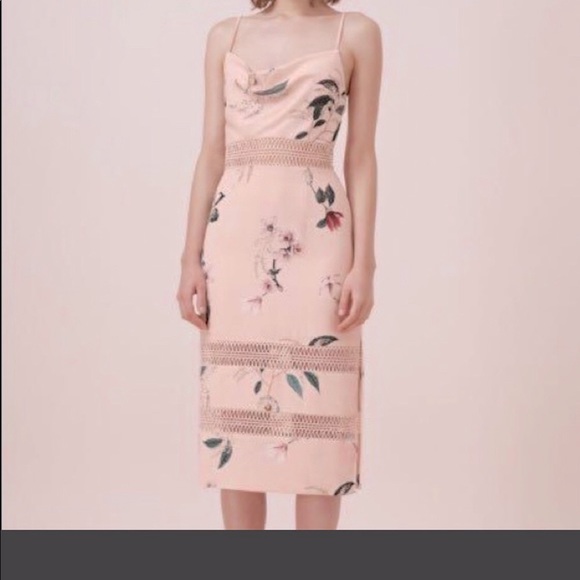 KEEPSAKE
Indulge Midi Dress Blush Botanic Floral - Picture 5 of 10
